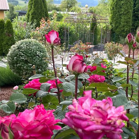 Bed And Breakfast Mittelkaernten Althofen  Esterno foto